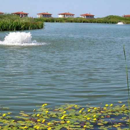 Blacksearama Golf & Villas บัลชิค ภายนอก รูปภาพ