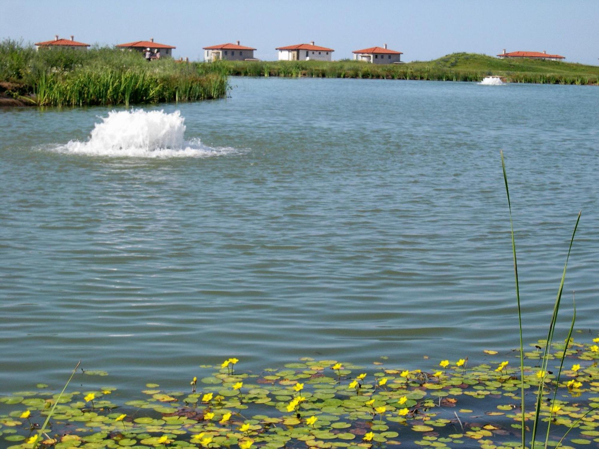 Blacksearama Golf & Villas บัลชิค ภายนอก รูปภาพ